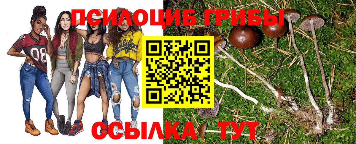 Псилоцибиновые грибы Cubensis  Вход с VPN  Мурино  Псилоцибиновые грибы мицелий 